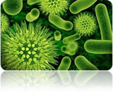 aerosol disinfection